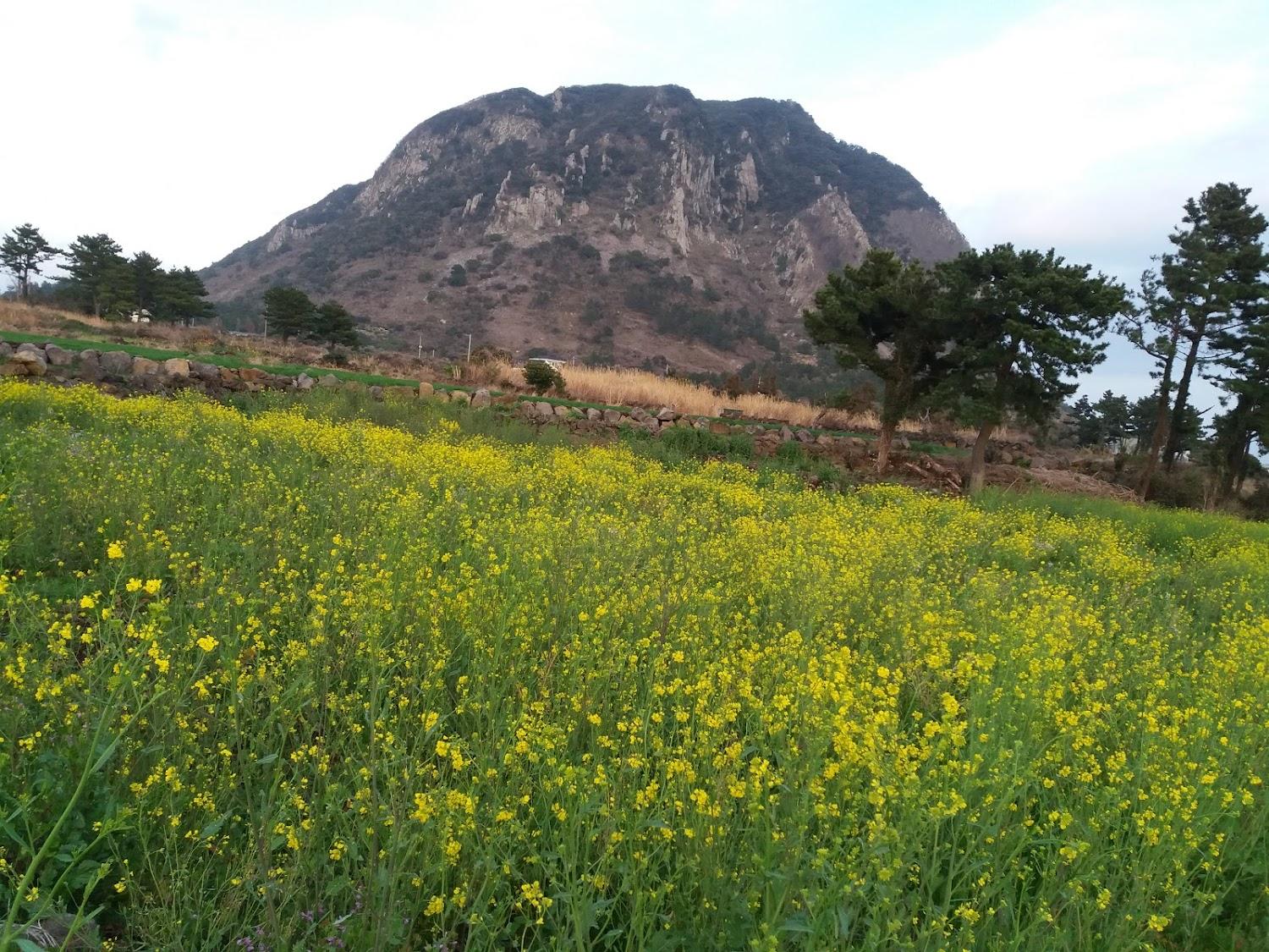 Cover Image for 달콤한소금만들기