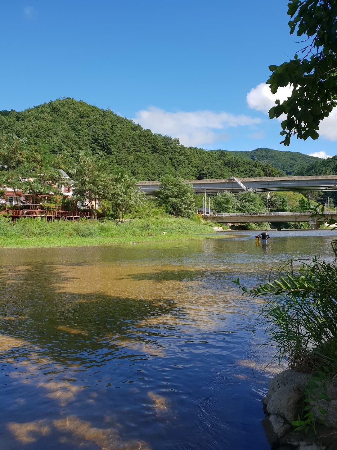 Cover Image for 들꽃가람펜션