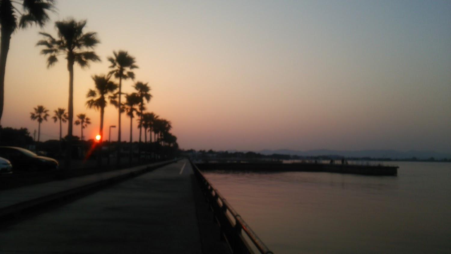 Cover Image for Okadaya