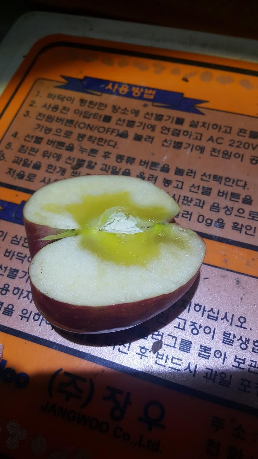 Cover Image for 반디펜션