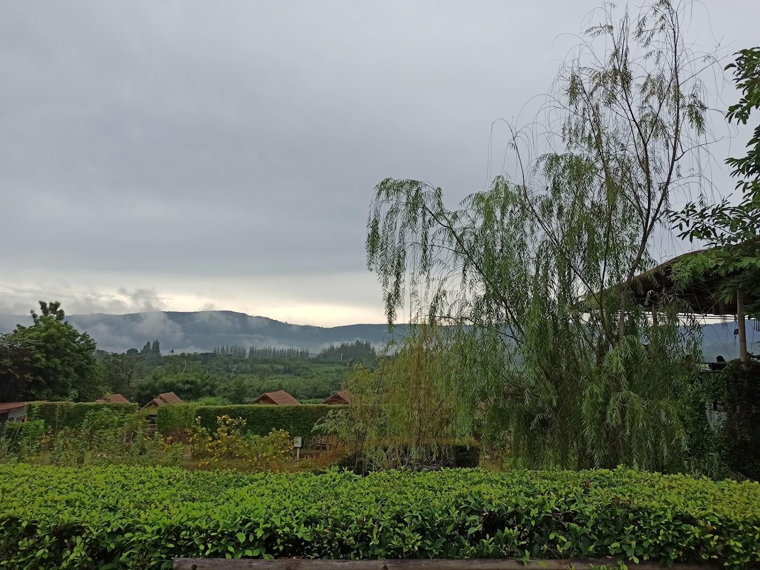 Cover Image for Baan Suan Pai Noppakao บ้านสวนไผ่นพเก้า