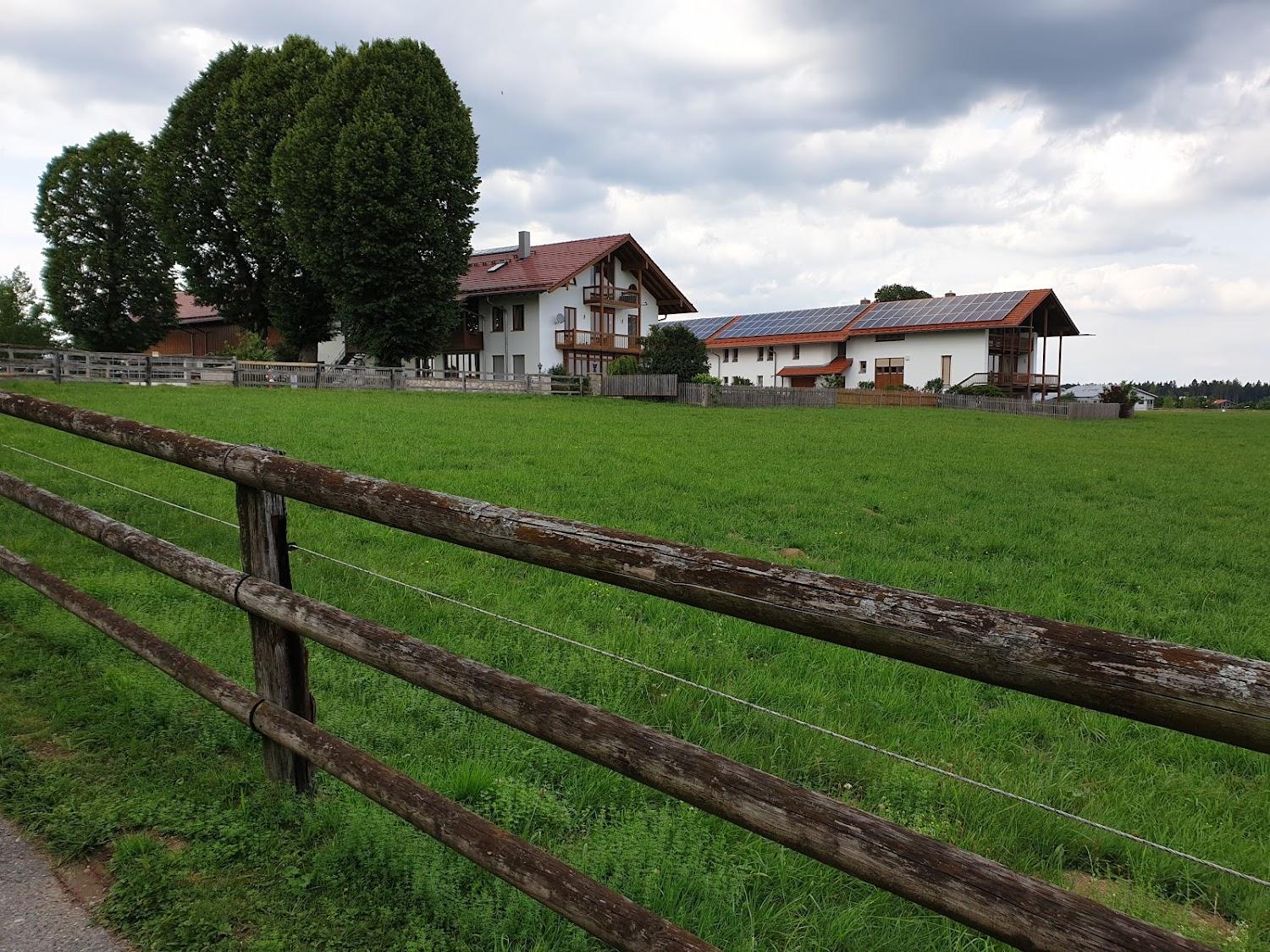 Cover Image for Pension Rauferhof