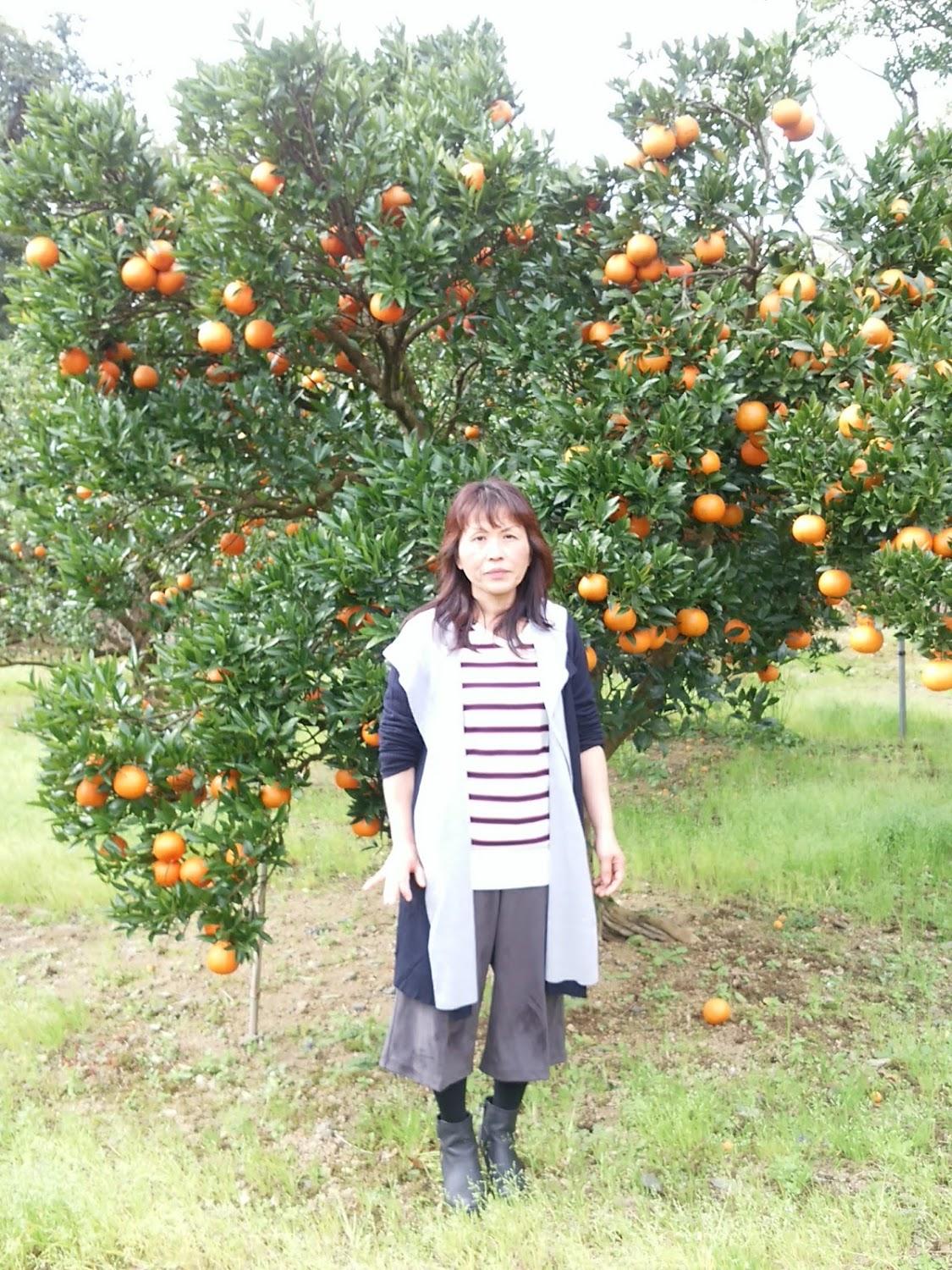 Cover Image for Yakushimamura