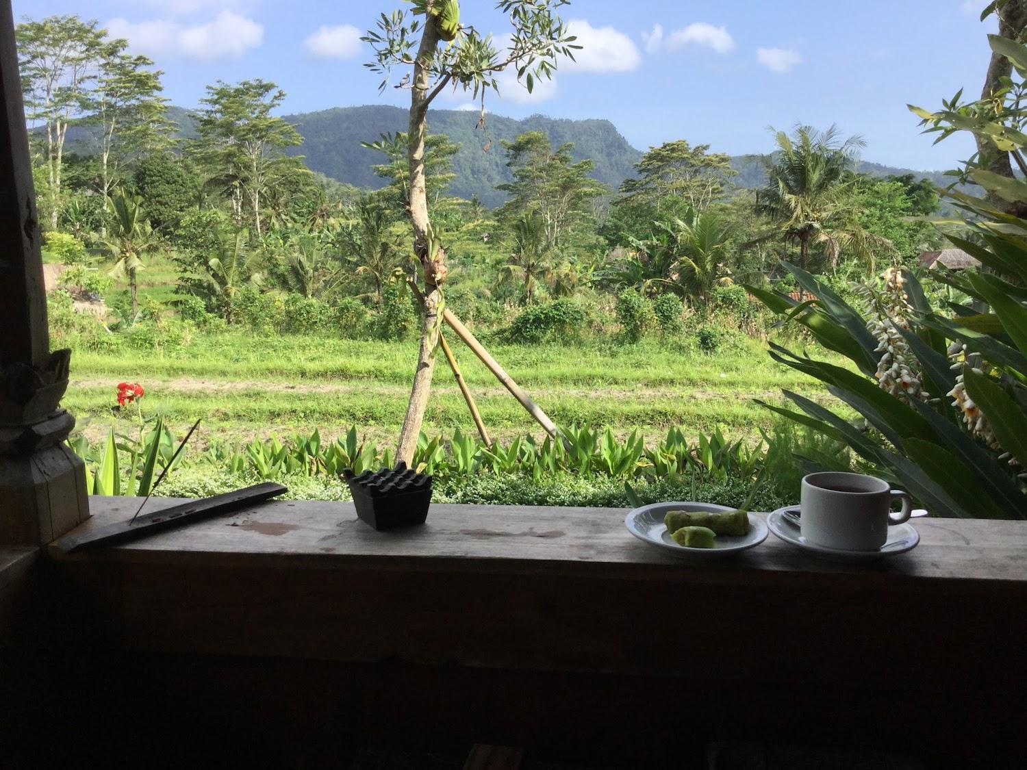 Cover Image for Adhi jaya Suite