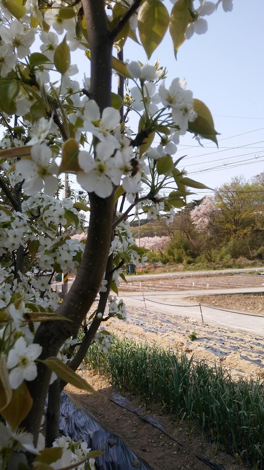Cover Image for 울산 아름펜션