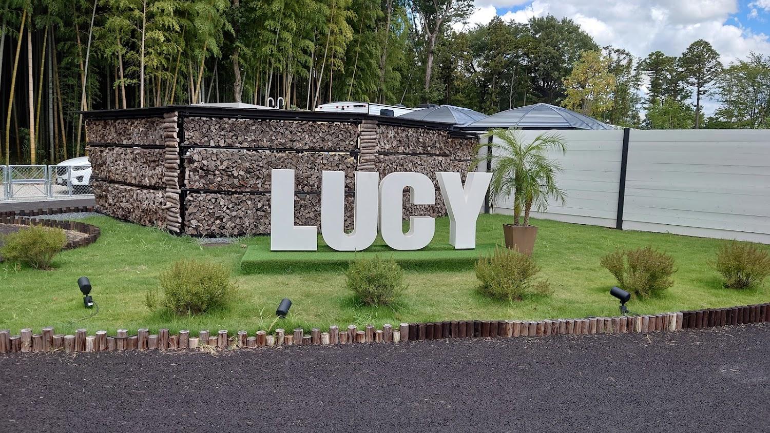 Cover Image for LUCY RESORT (Lucy Resort) Tsukuba Dog Resort Park