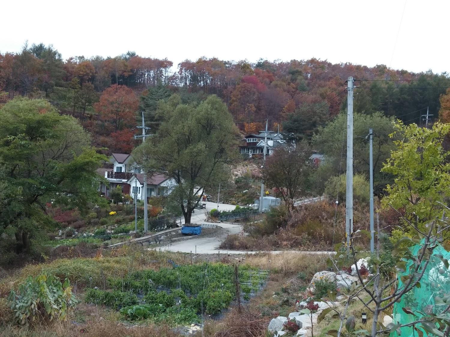 Cover Image for 해뜨는집펜션