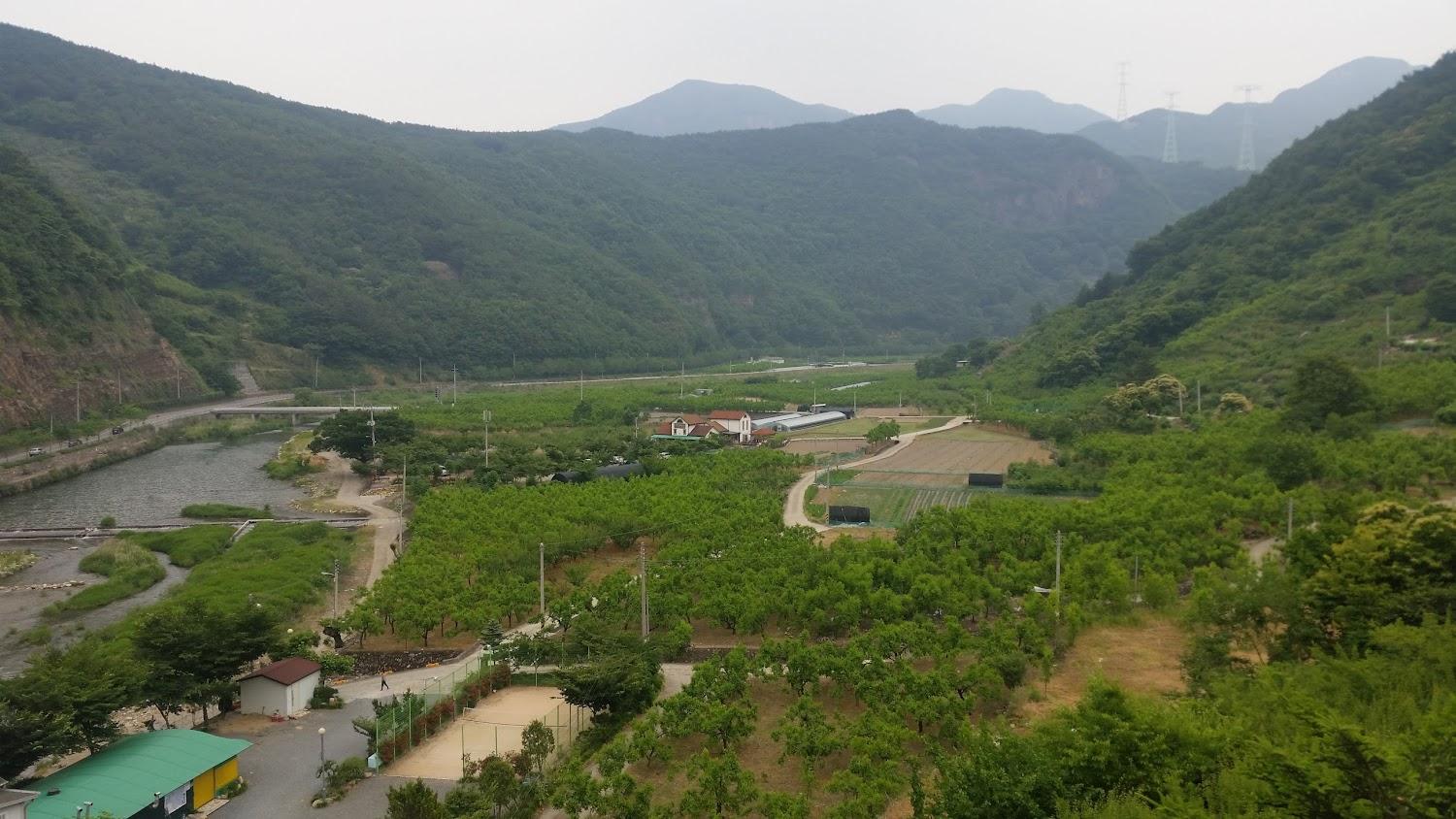 Cover Image for 밀양부엉이펜션