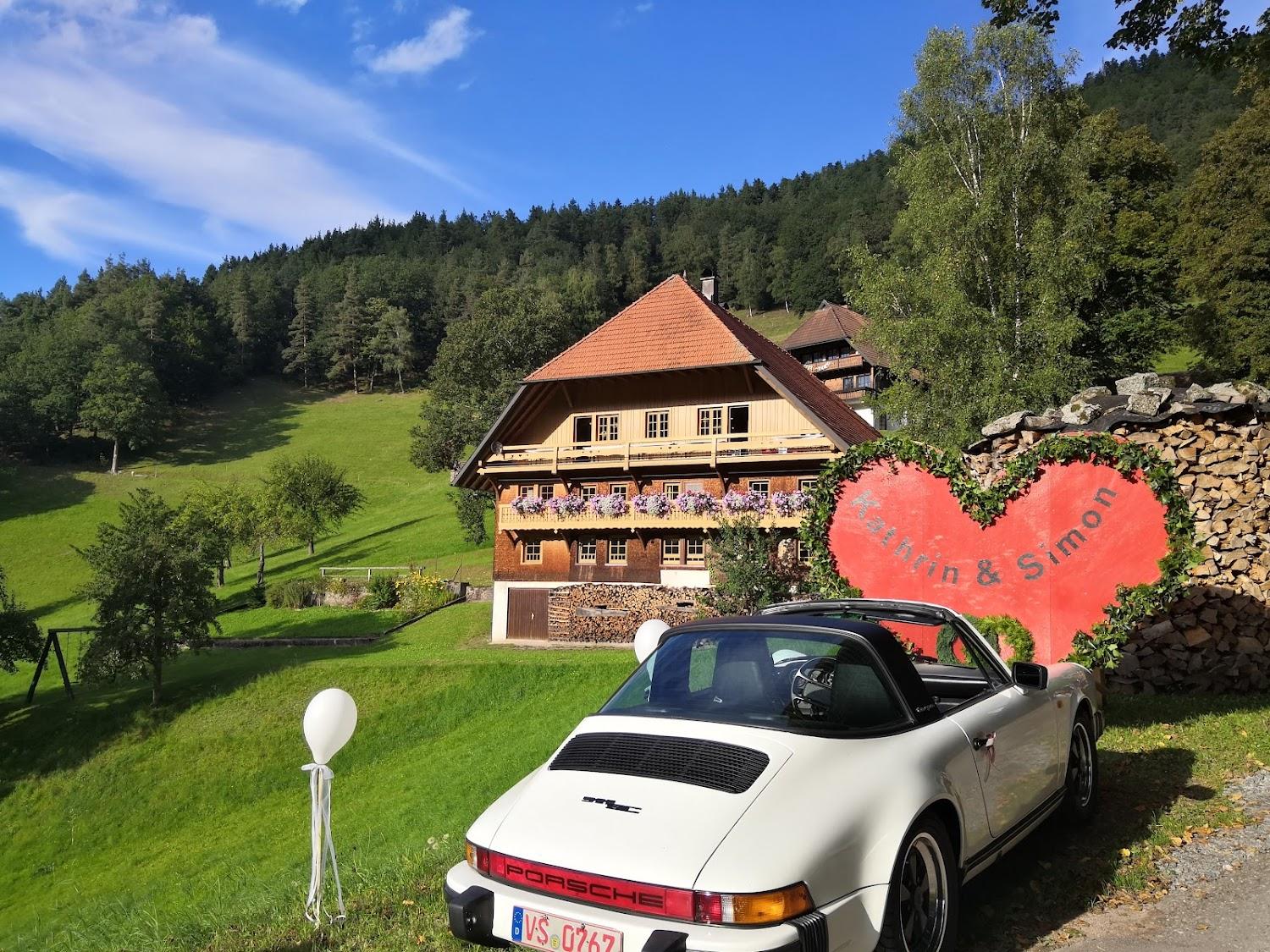 Cover Image for Steinbishof
