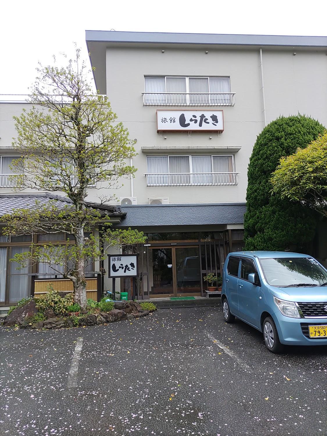 Cover Image for Shirataki