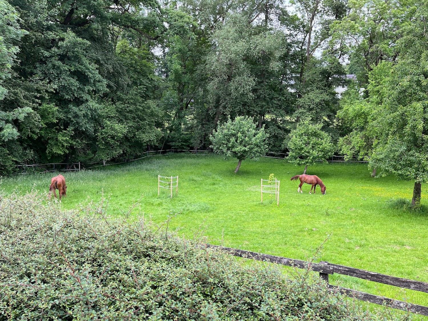 Cover Image for Pension Helenen-Hof