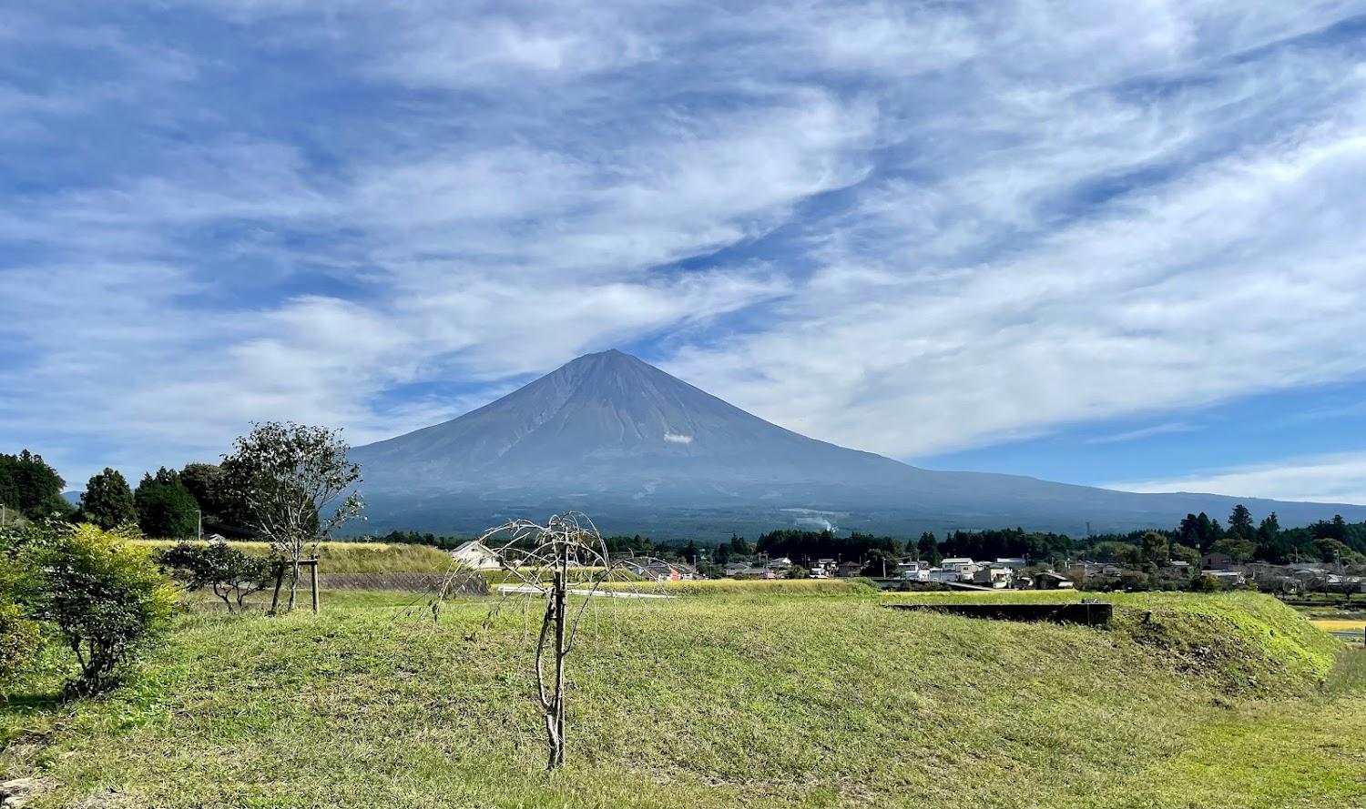Cover Image for MT. FUJI SATOYAMA VACATION