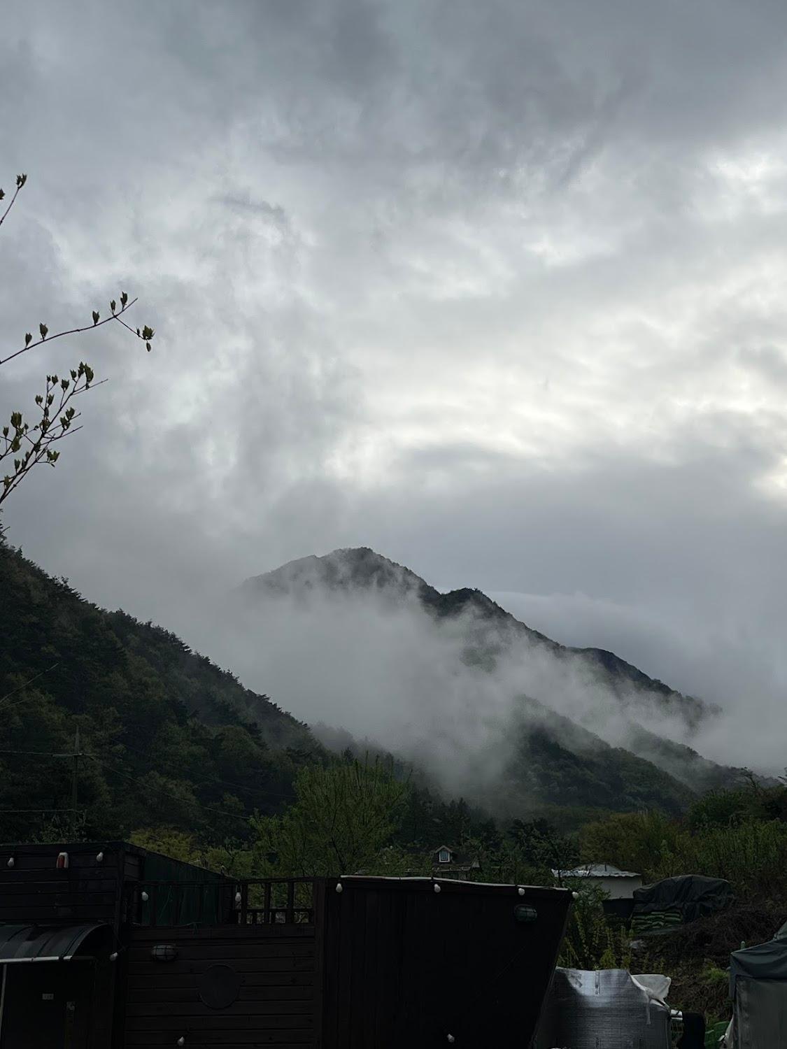 Cover Image for 을전56캠핑장