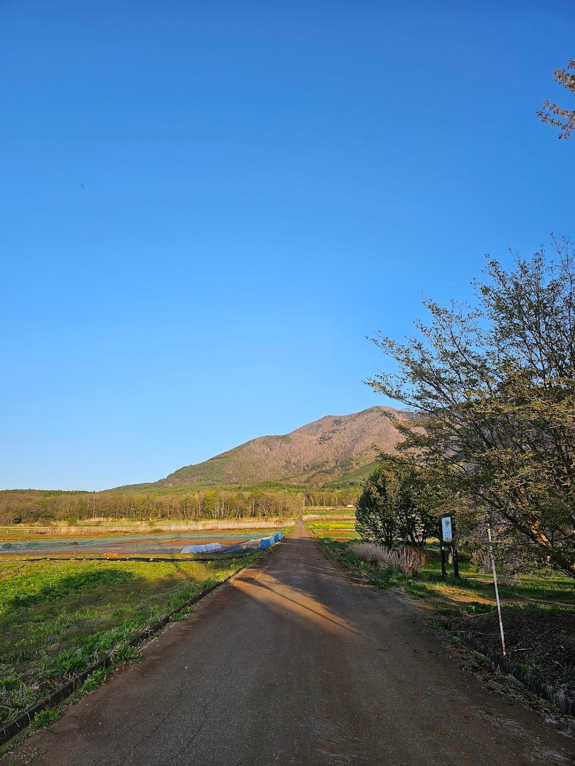 Cover Image for 上倉荘