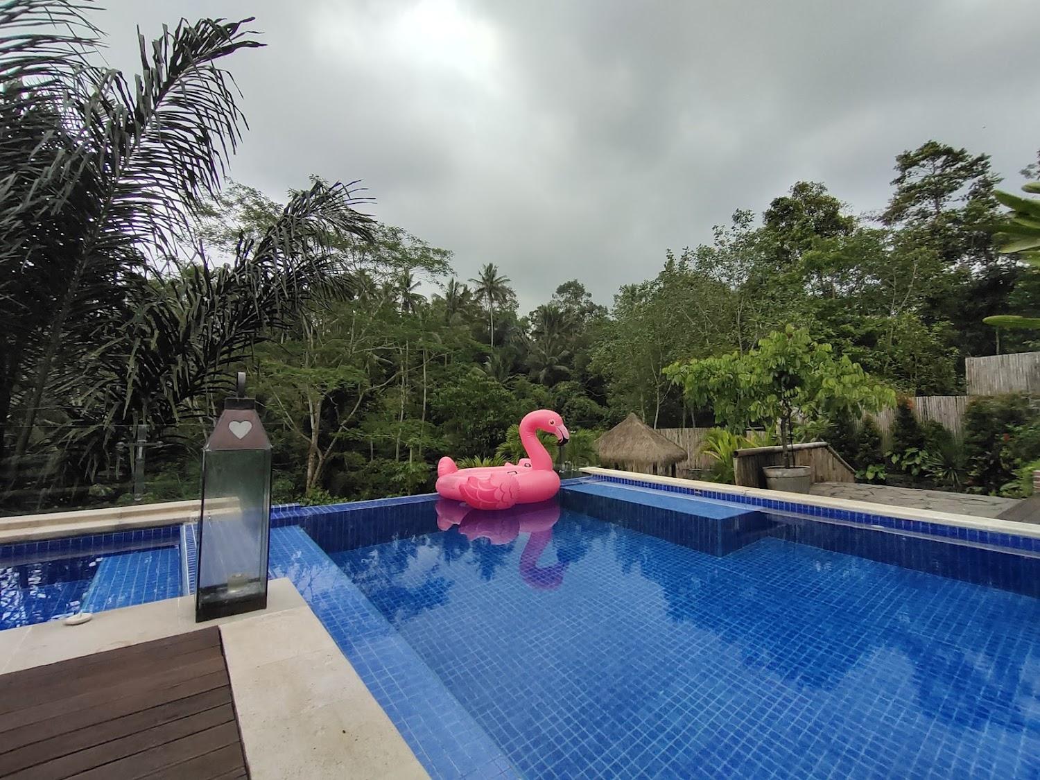 Cover Image for Puri Kasih Gottlieb