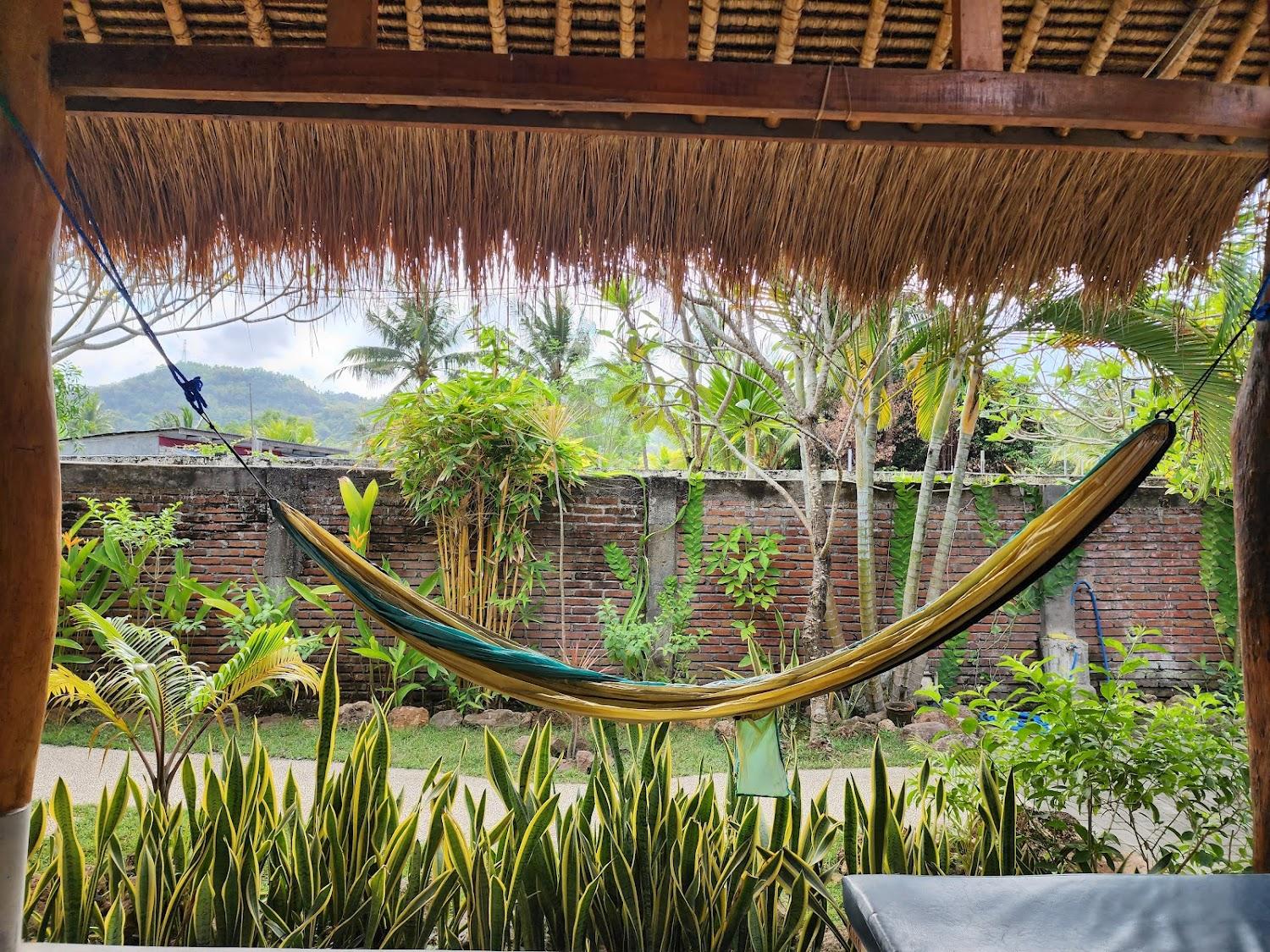 Cover Image for Albany Homestay
