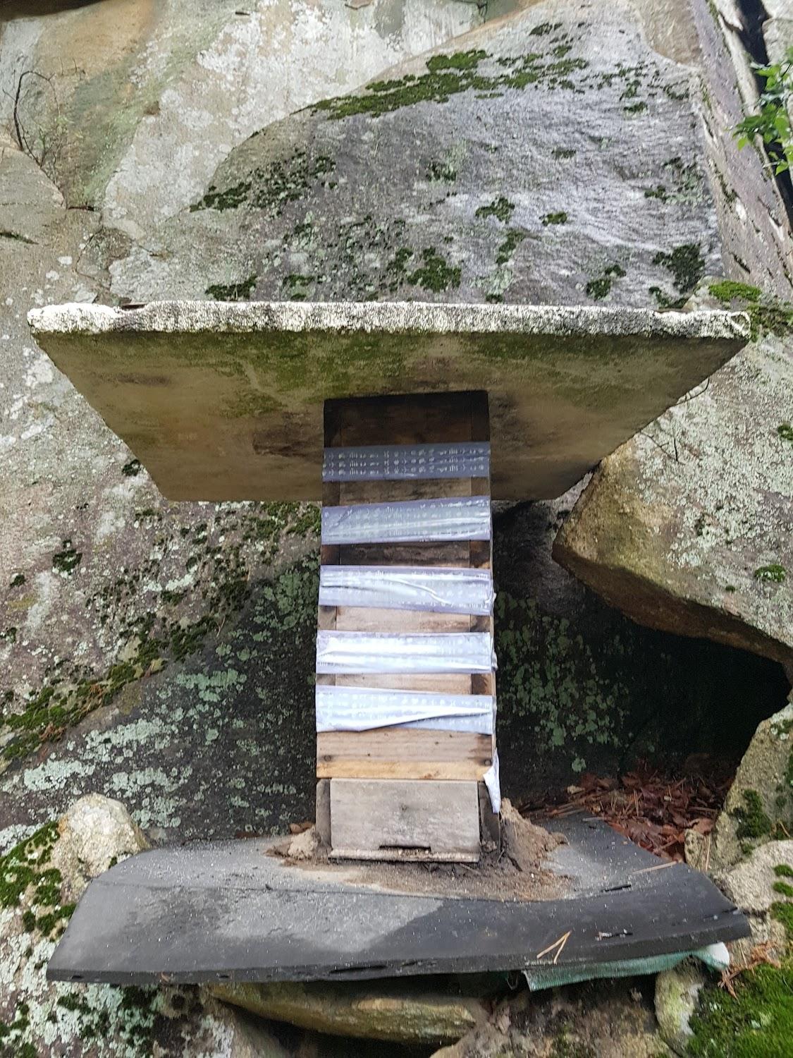 Cover Image for 고무서리상회