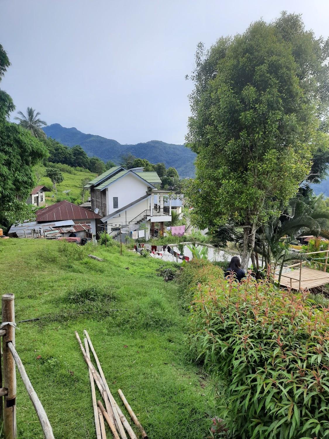 Cover Image for Andy's Lodge