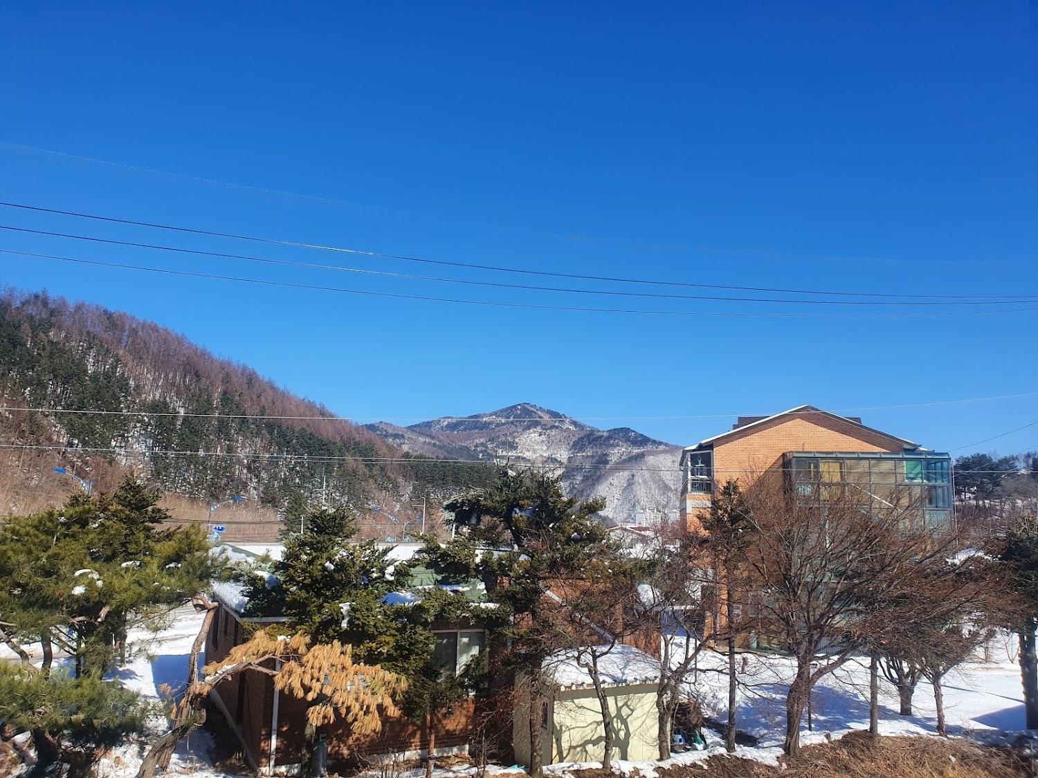 Cover Image for 수목원모텔