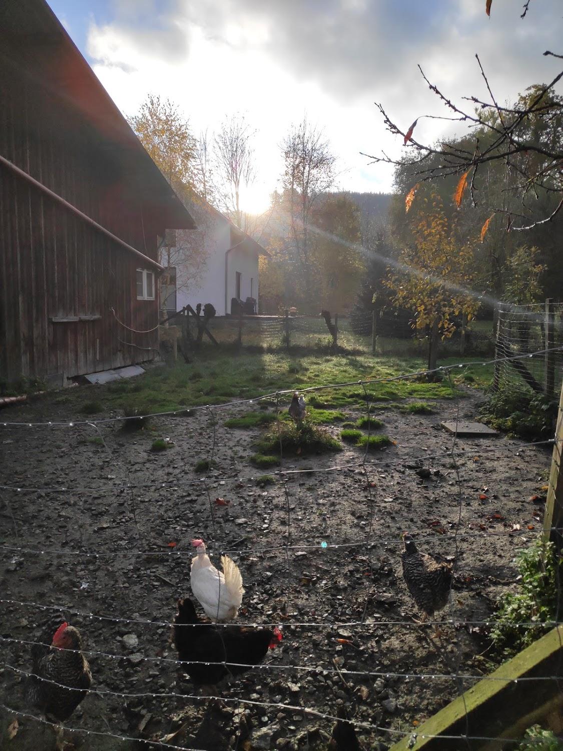 Cover Image for Ferienbauernhof Voß