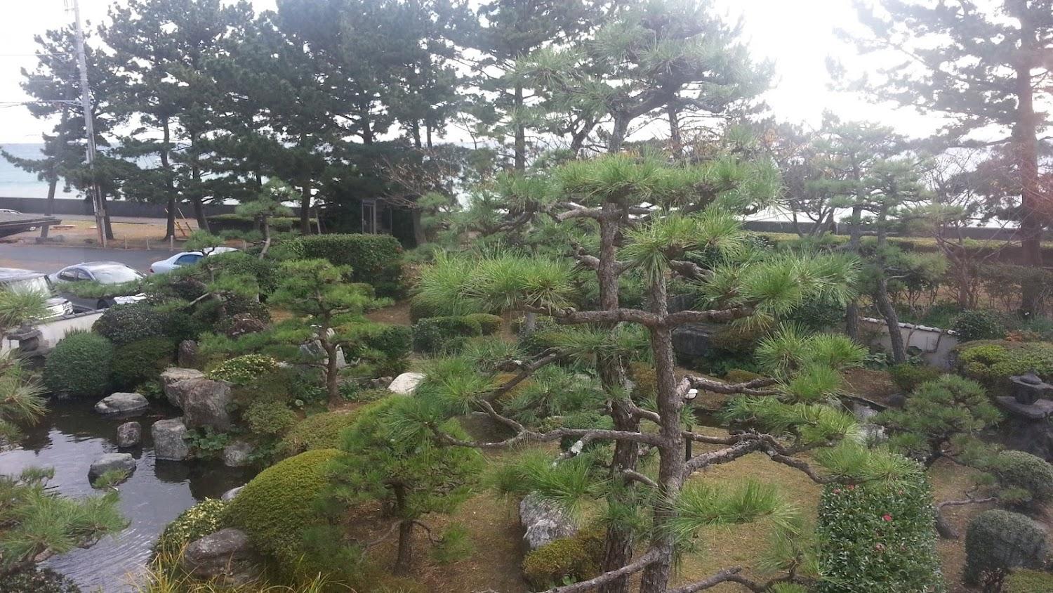 Cover Image for Shiranami