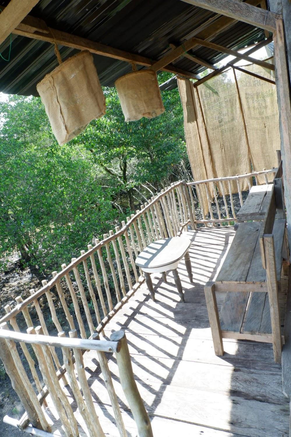Cover Image for Bintan Mangrove Bay