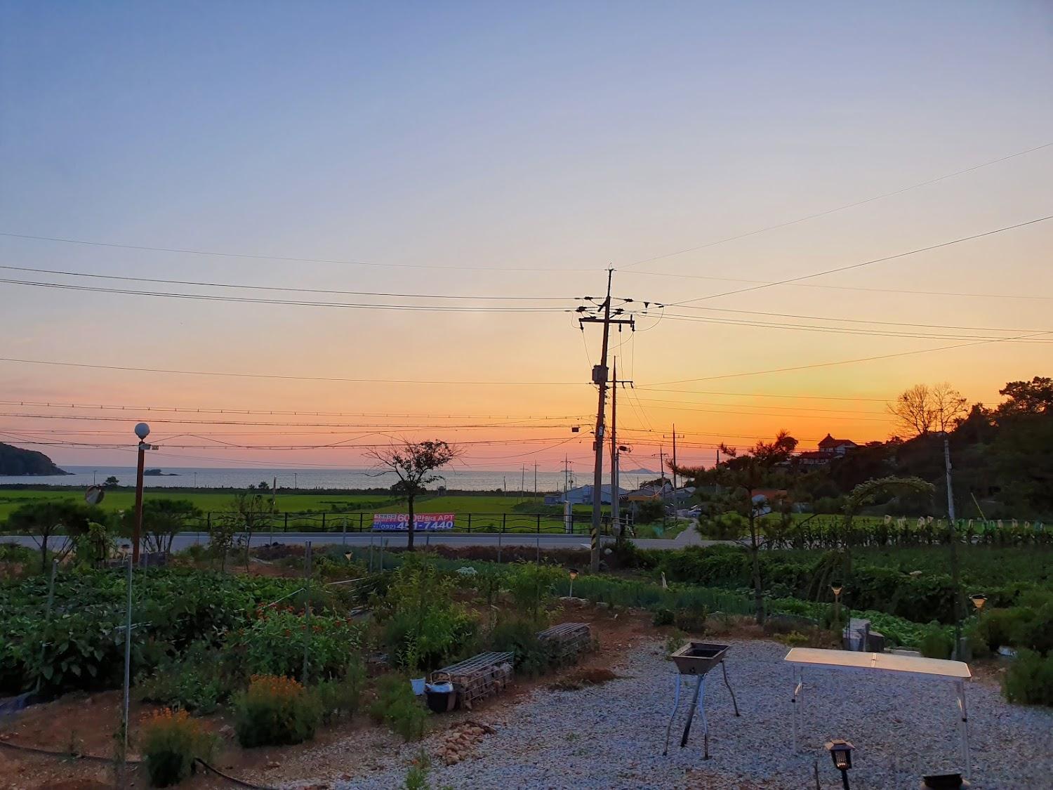 Cover Image for 뷰티펜션
