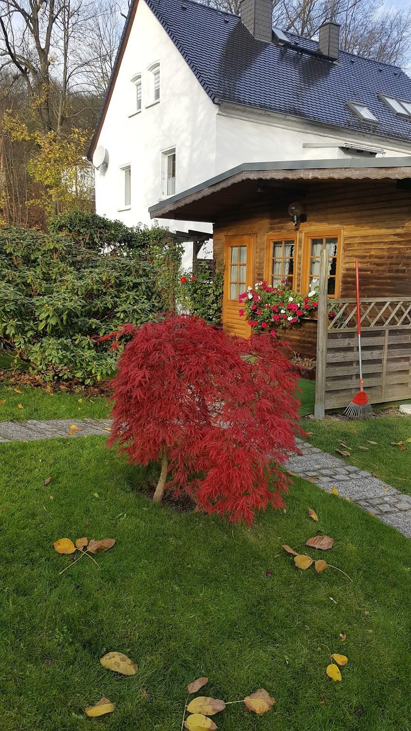 Cover Image for im Gästehaus Sonja