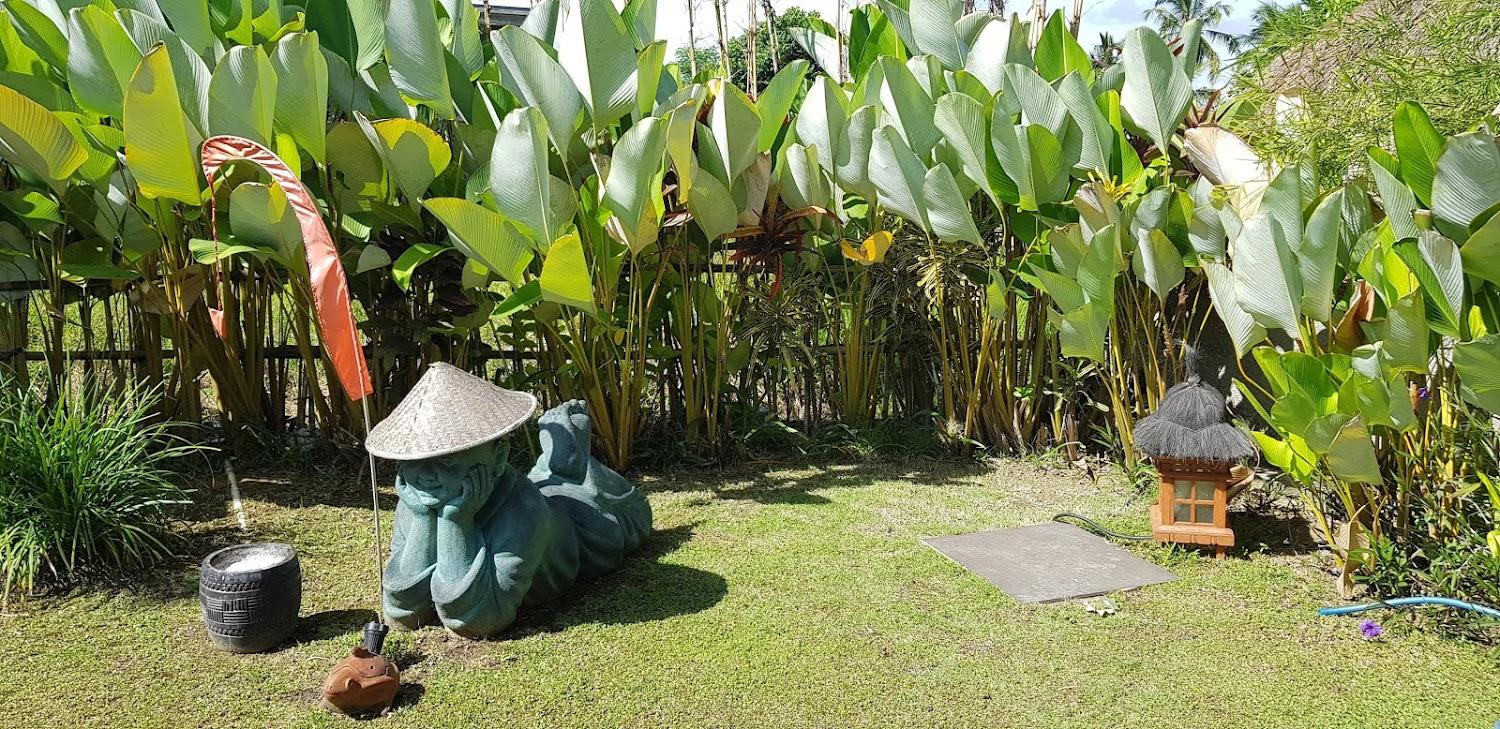Cover Image for Anusara Luxury Villas Ubud