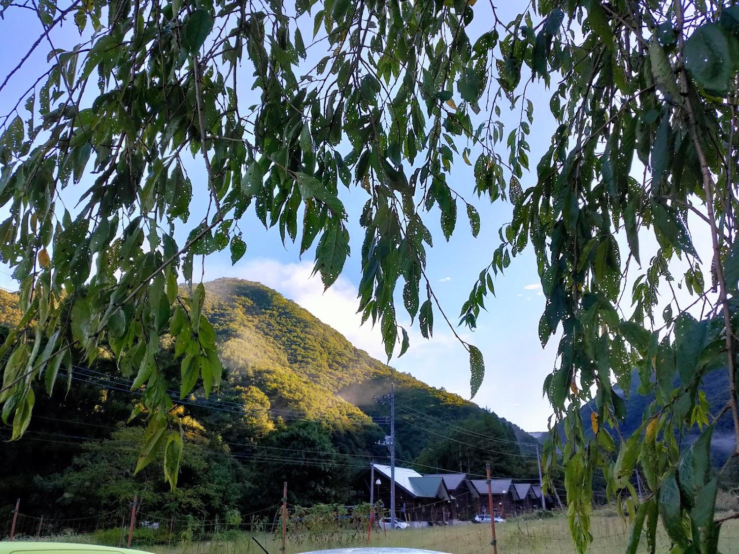 Cover Image for みよりふるさと体験村 テントサイト（キャンプ場）