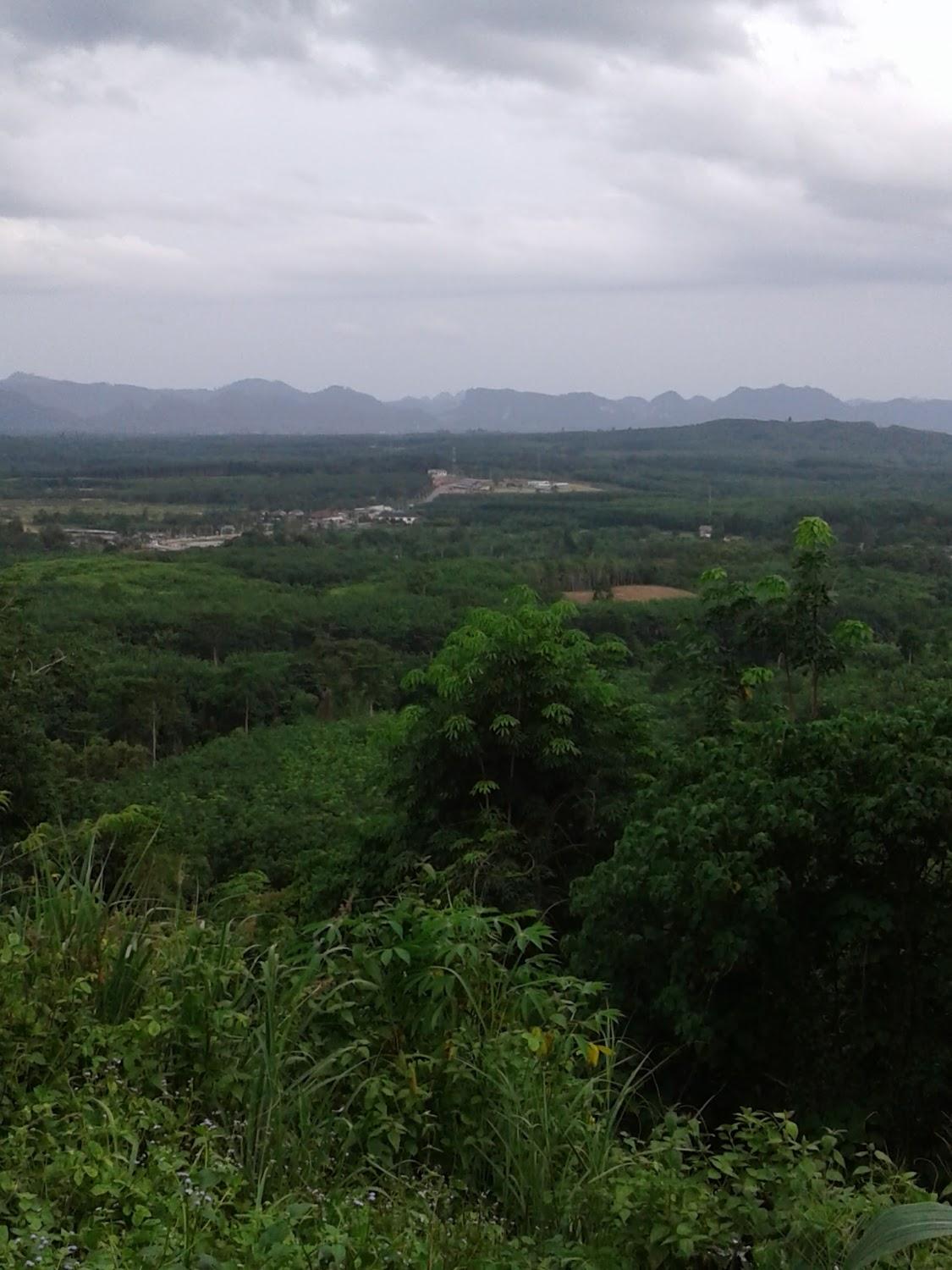 Cover Image for พอใจ รีสอร์ท