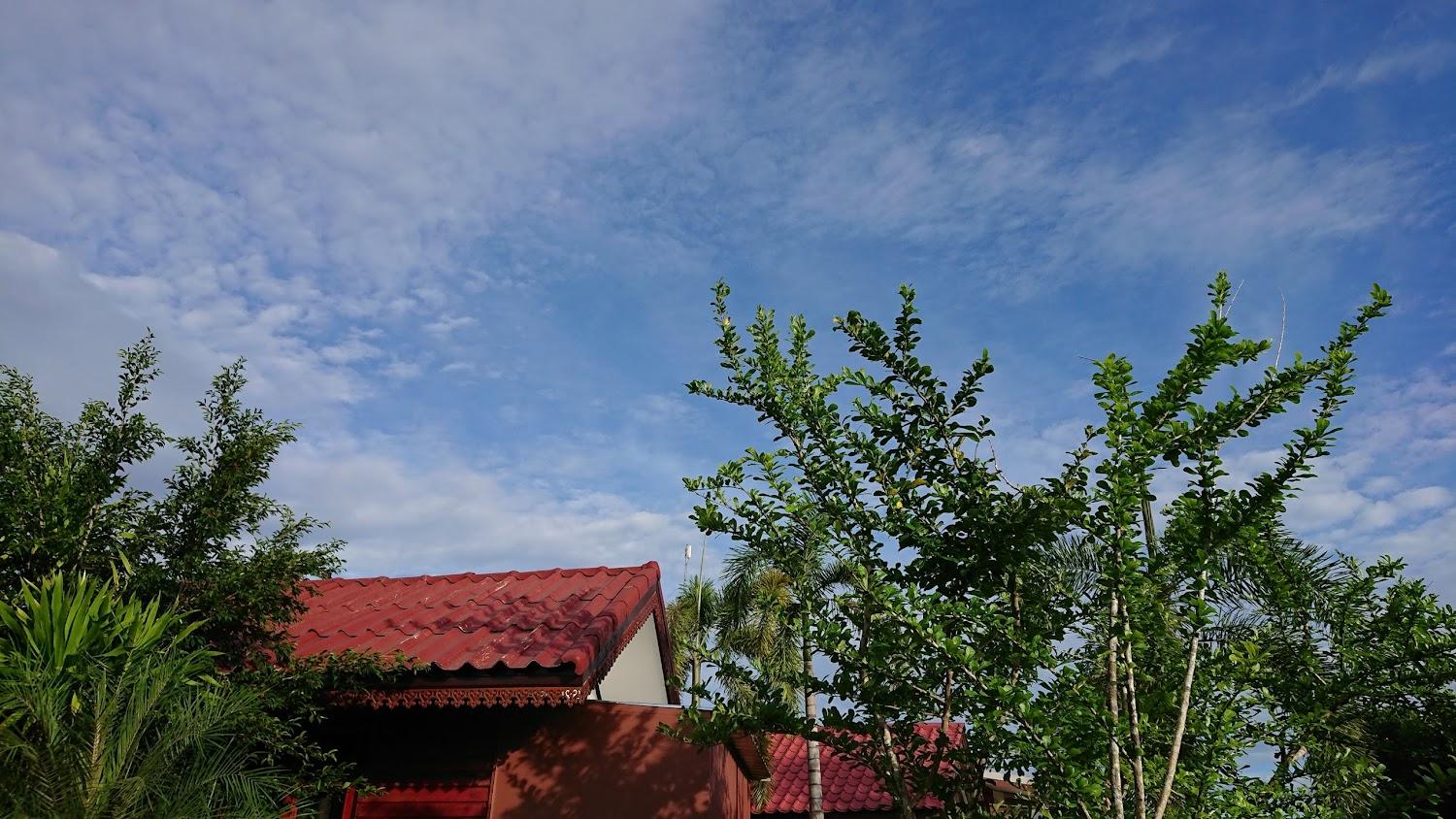Cover Image for คุ้มลภัสรีสอร์ท