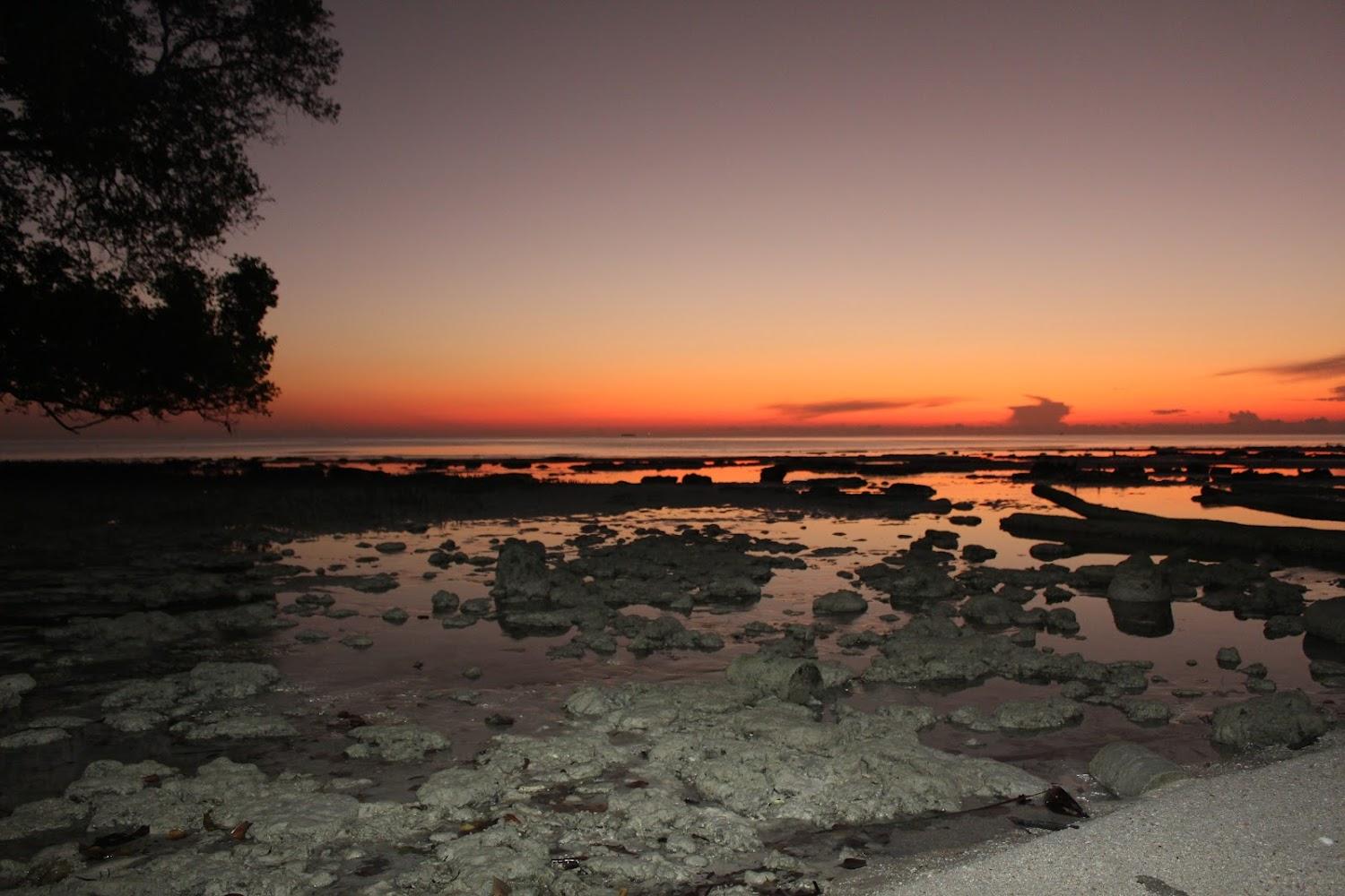 Cover Image for Hotel Farly Beach