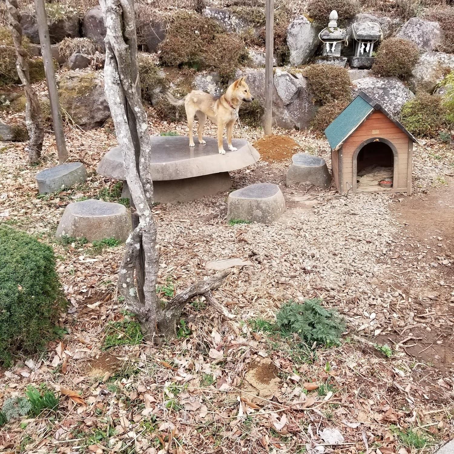 Cover Image for 旅舎十二館新館