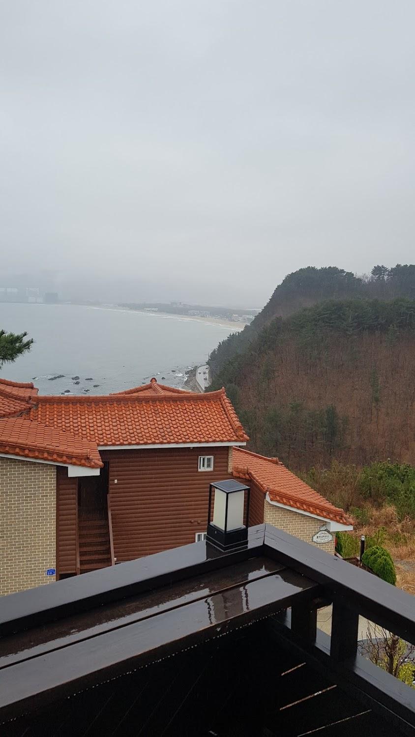 Cover Image for 블루문펜션