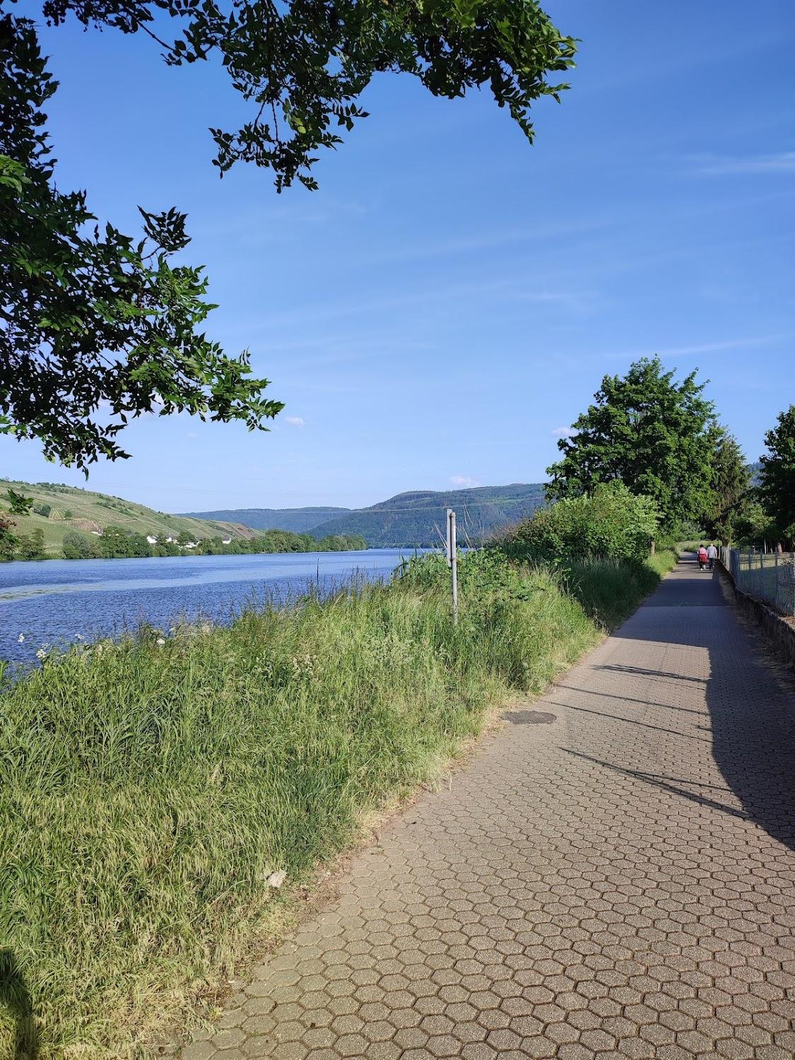 Cover Image for Pension zur Brücke