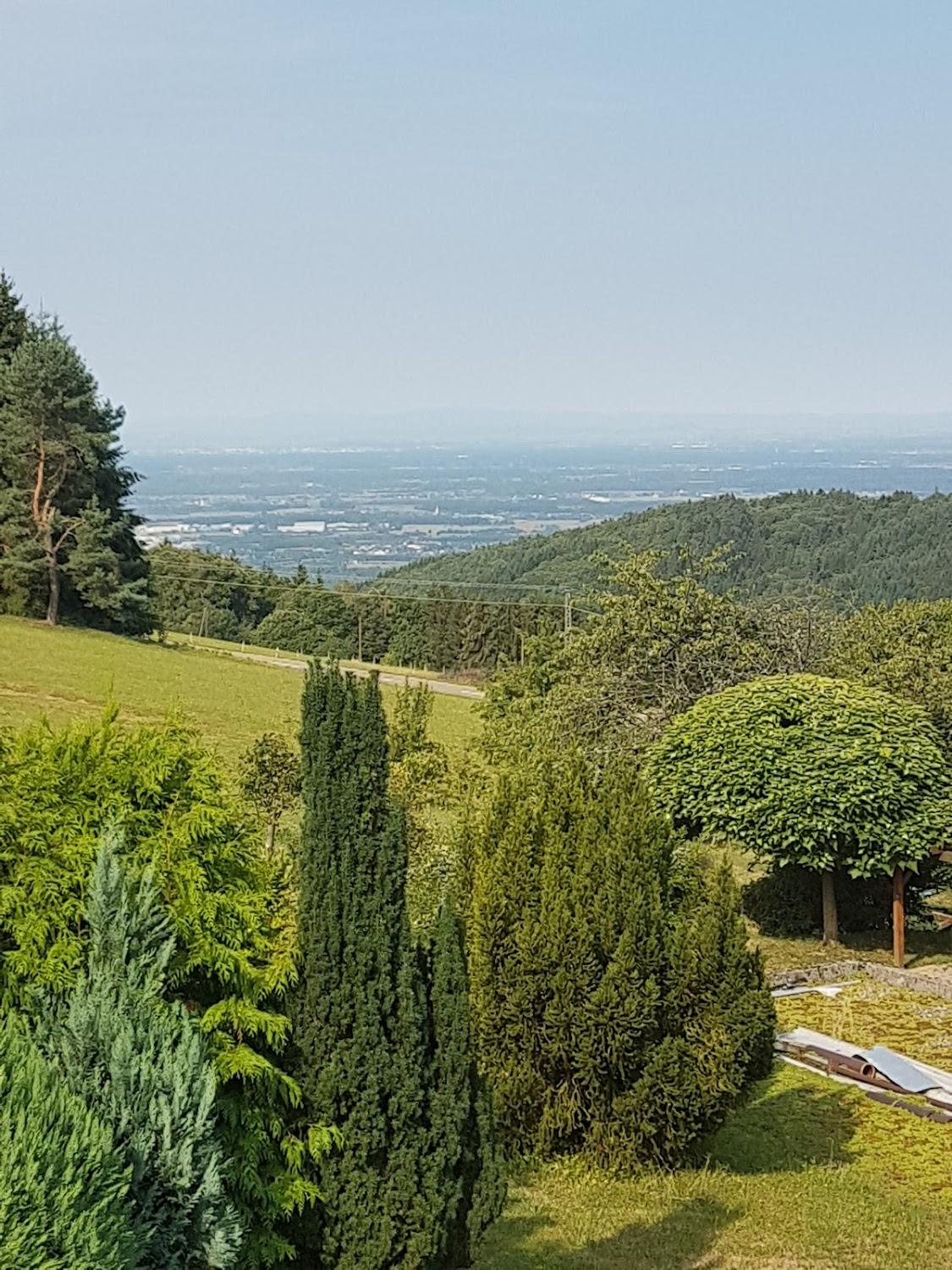 Cover Image for Mountain Inn Immenstein