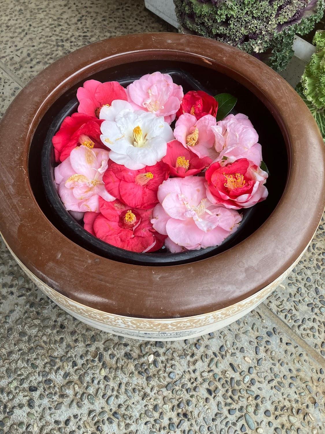 Cover Image for Taisenkaku