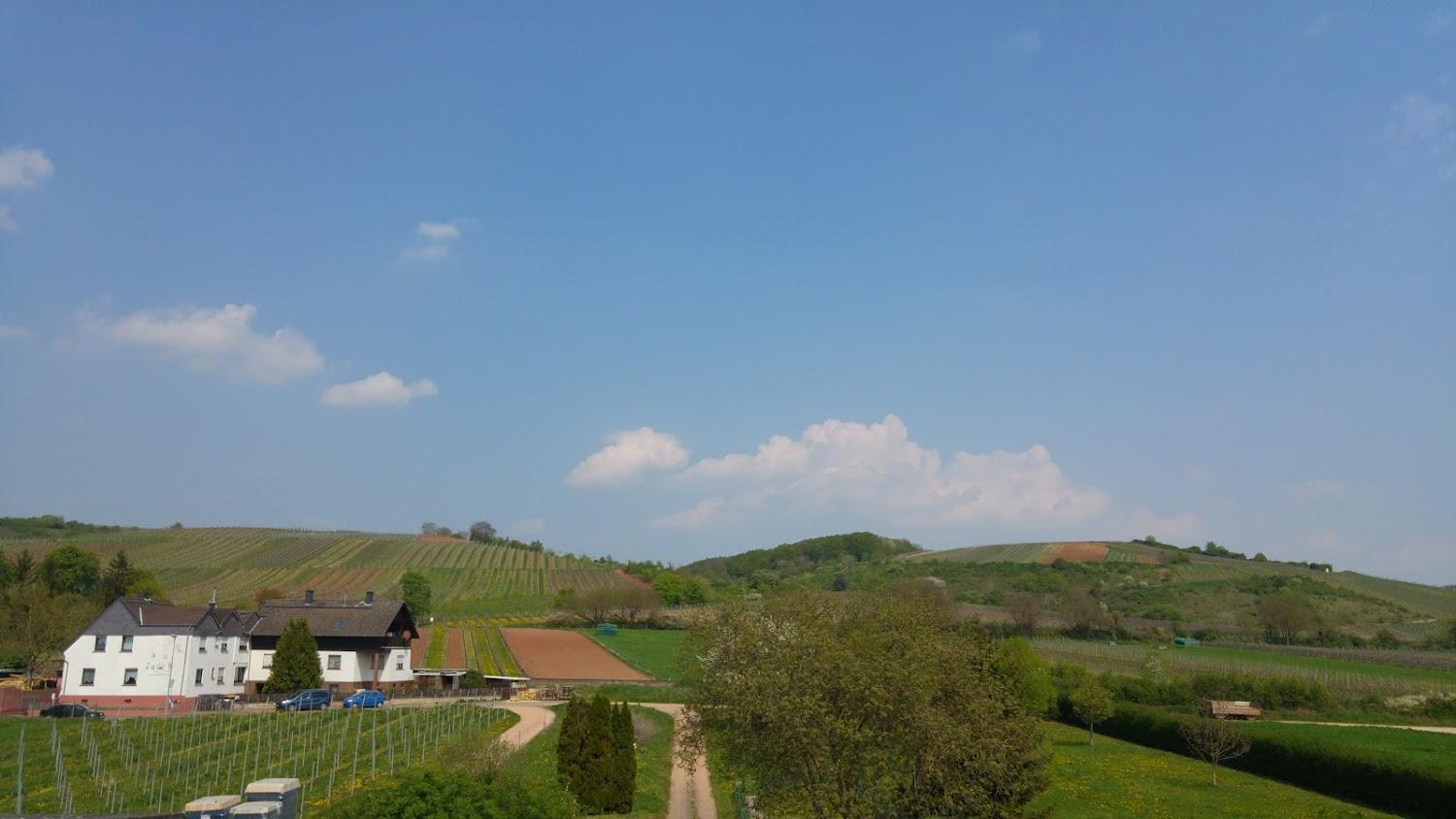 Cover Image for Hotel und Weingut Enk