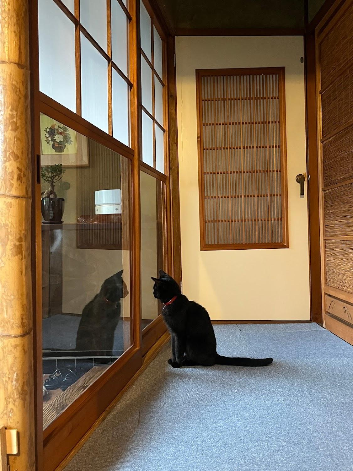 Cover Image for 民泊よあけの猫舎 YoakeNeco