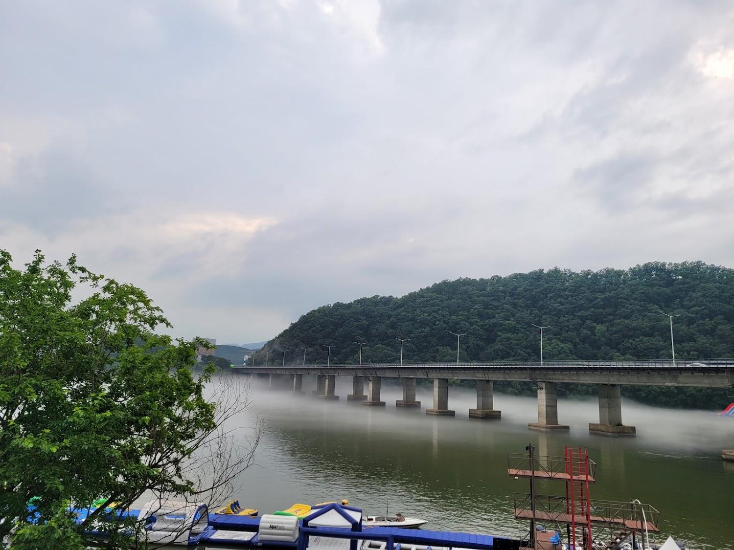 Cover Image for 샤크 아일랜드
