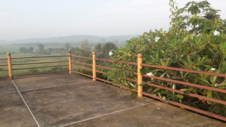 Cover Image for Ảnh At a glance