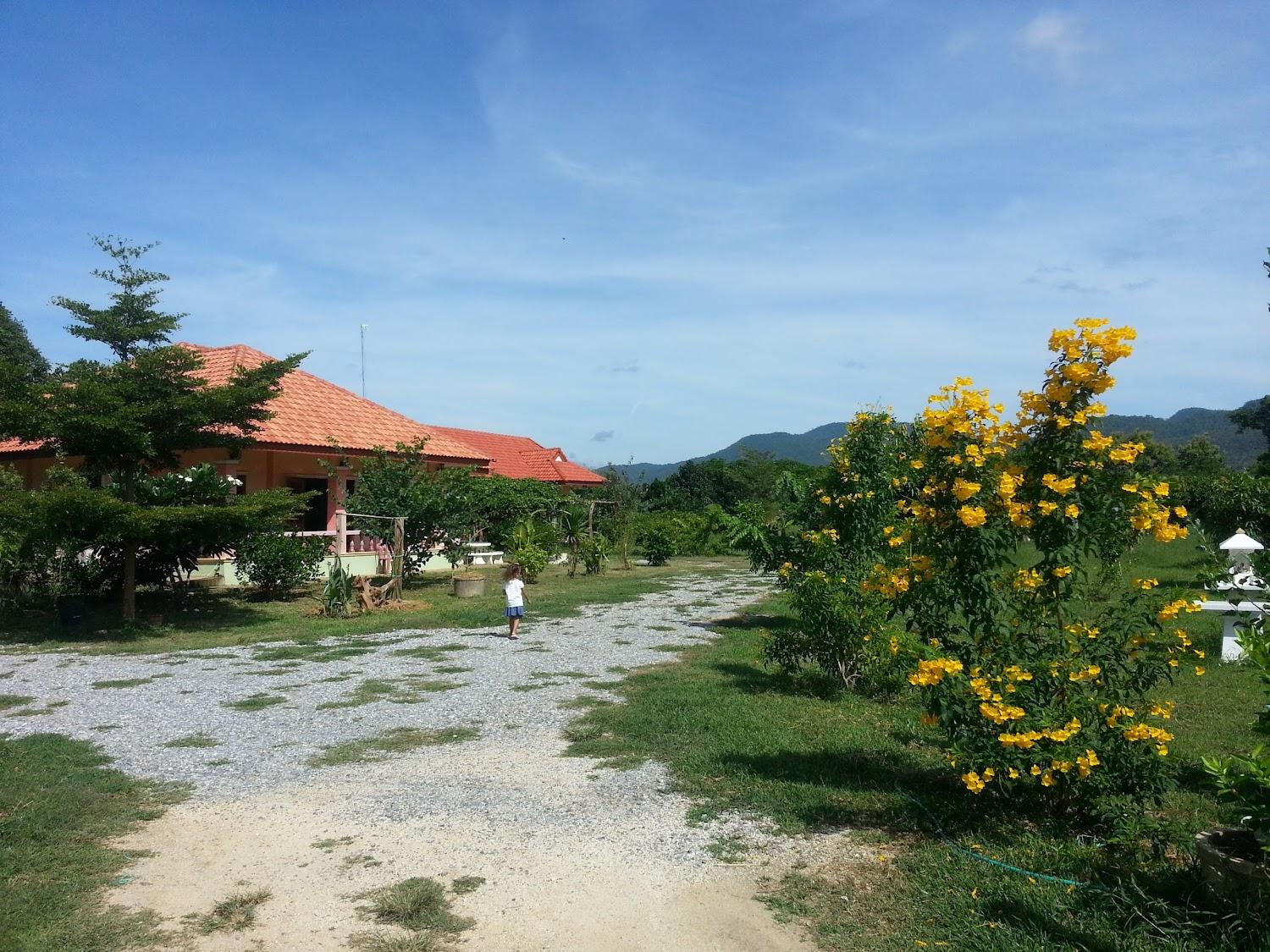 Cover Image for Chaleena Homestay