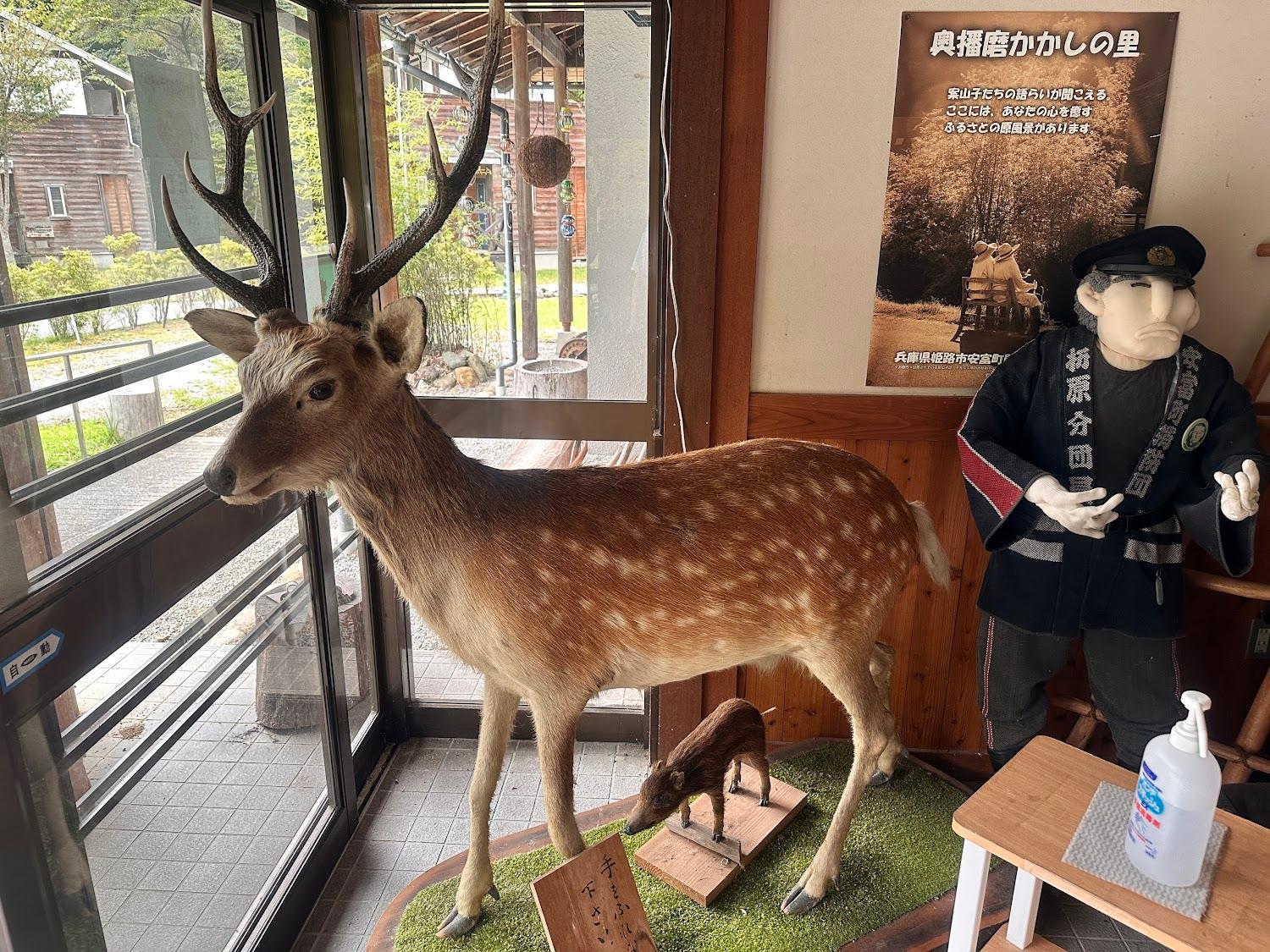 Cover Image for Shikagatsubo Camping Ground