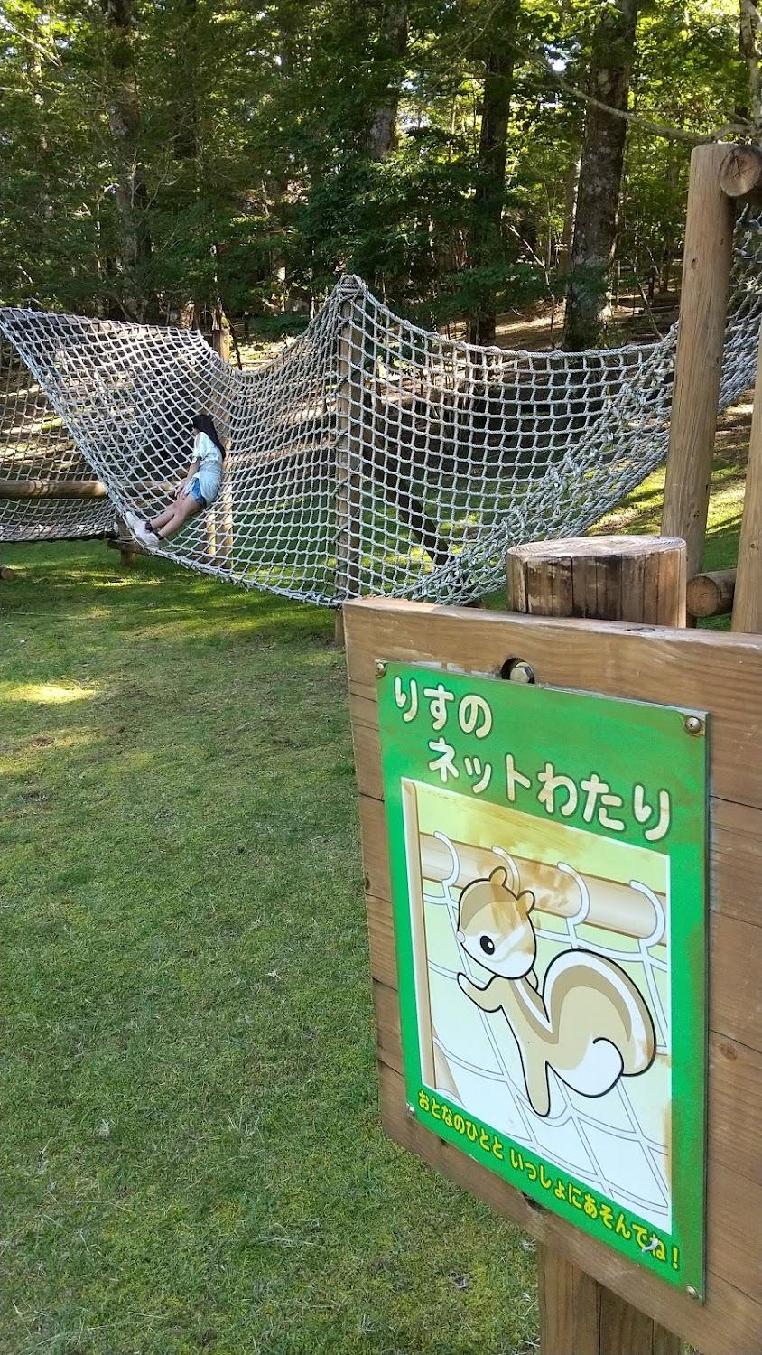 Cover Image for 井川森林組合(静岡県県民の森）