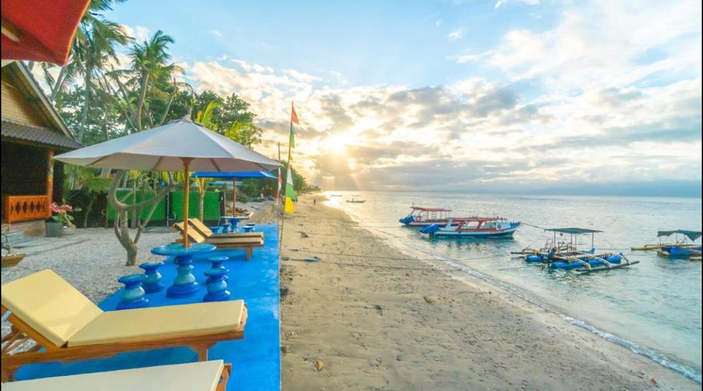 Cover Image for MERTA BEACH Bungalows