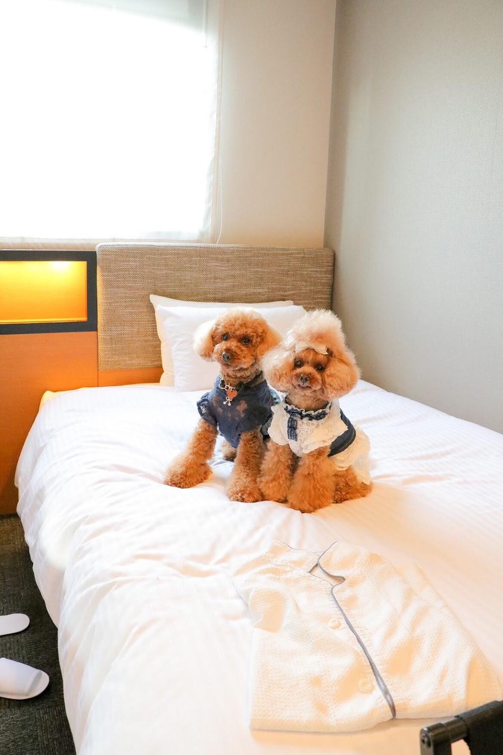 Cover Image for ICI HOTEL Asakusabashi