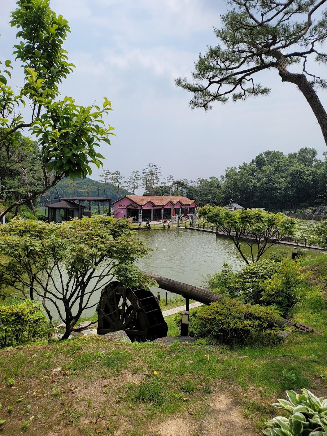 Cover Image for 숲을 그리다