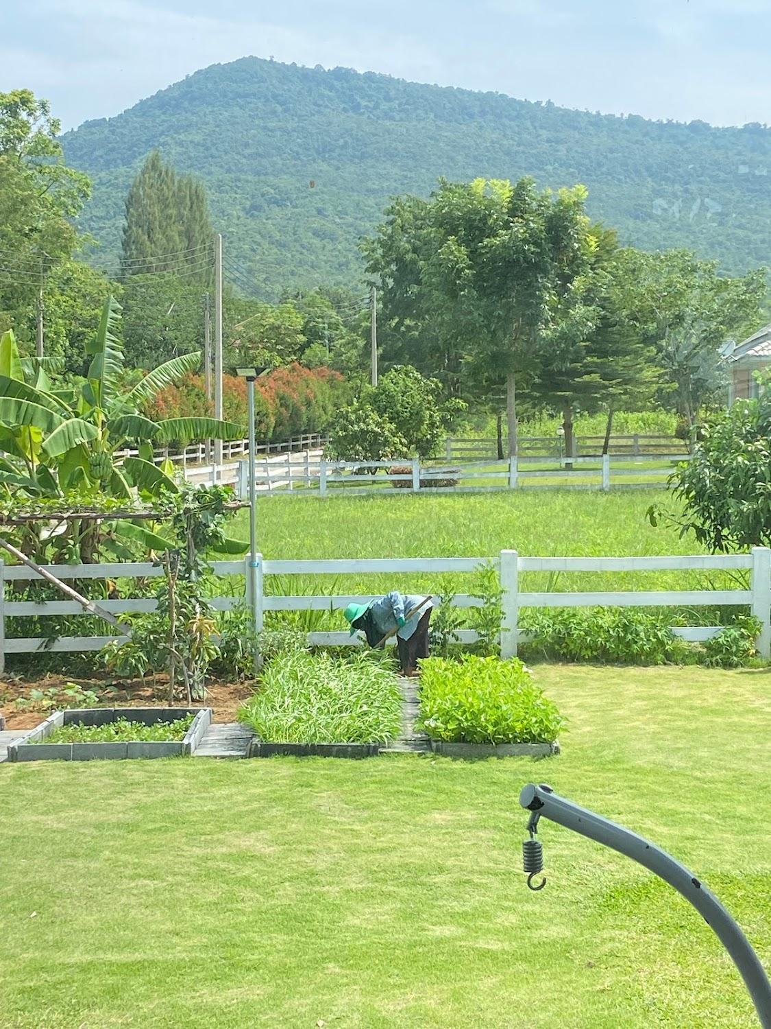 Cover Image for Farm to Table House @ KaoYai