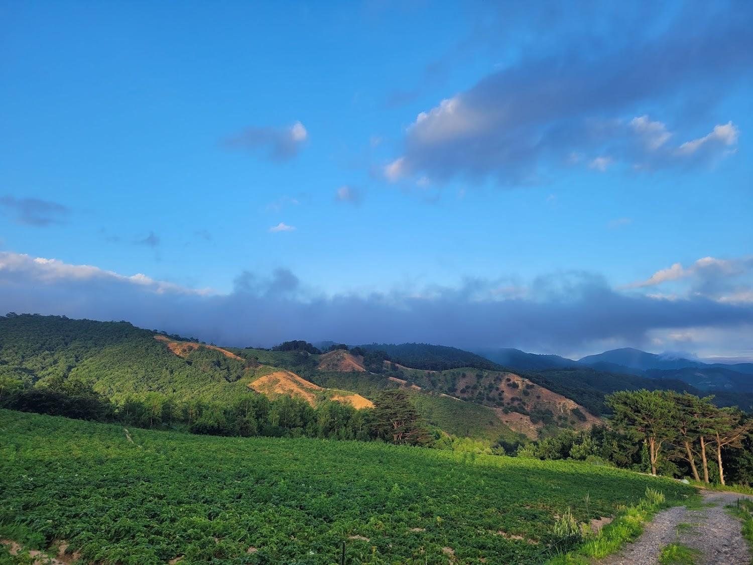 Cover Image for 풍경소리펜션